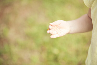 Hand eines kleinen Mädchens mit Marienkäfer - MFRF000322