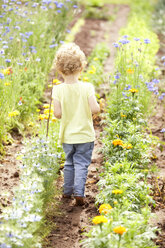 Rückenansicht eines kleinen Mädchens, das durch Blumenbeete läuft - MFRF000326