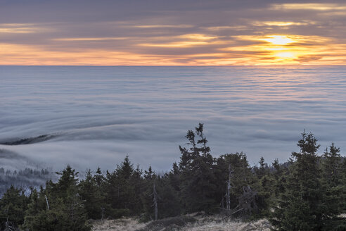 Deutschland, Sachsen-Anhalt, Nationalpark Harz, Inversionswetterlage am Brocken am Morgen - PVCF000517