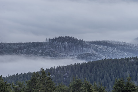 Deutschland, Sachsen-Anhalt, Nationalpark Harz, Inversionswetterlage am Brocken am Morgen, lizenzfreies Stockfoto