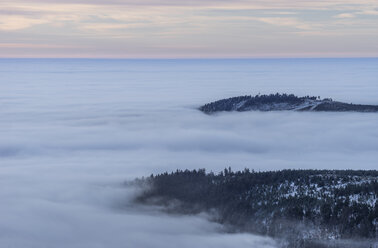 Deutschland, Sachsen-Anhalt, Nationalpark Harz, Wurmberg, Inversionswetterlage am Morgen - PVCF000493