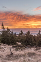 Deutschland, Sachsen-Anhalt, Nationalpark Harz, Inversionswetterlage am Brocken am Morgen - PVCF000497