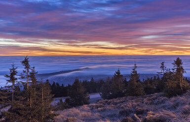 Deutschland, Sachsen-Anhalt, Nationalpark Harz, Inversionswetterlage am Brocken am Morgen - PVCF000500