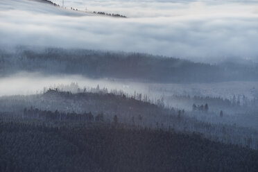 Germany, Saxony-Anhalt, Harz National Park, atmospheric inversion in the evening - PVCF000511