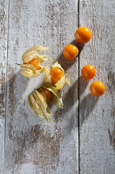 Physalis auf Holz - CSF025970