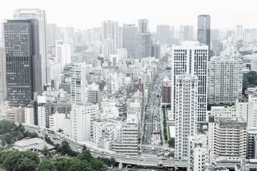 Japan, Tokio, Stadtbild mit Autobahnbrücke - FLF001163