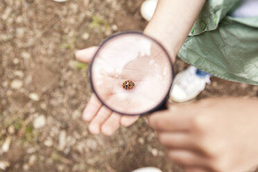 Ladybird on girl's hand under magnifying glass - MFRF000276