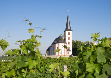 Germany, Hesse, Hochheim am Main, Vineyards and Church of Saint Peter and Paul - SIEF006685