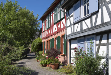 Germany, Hesse, Frankfurt-Hoechst, Old town, half timbered houses at moat - SIE006677