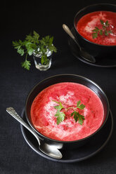 Rote-Bete-Suppe, vegetarisch - EVGF002026