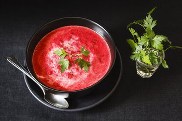 Rote-Bete-Suppe, vegetarisch - EVGF002027