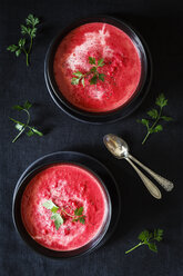 Beetroot soup, vegetarian - EVGF002028