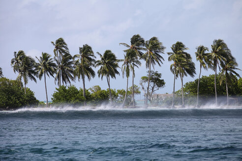 Maledives, South Male Atoll, surging billow arriving seashore on a stormy day - FAF000063