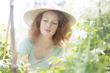 Junge Frau bei der Gartenarbeit, Urban Gardening - SGF001822