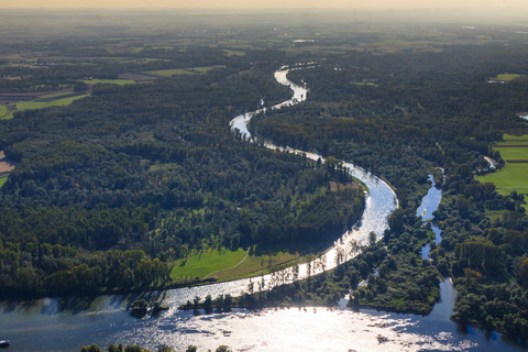 Deutschland, Bayern, Deggendorf, Donau, Isarmündung, Auenwald, Luftbild, lizenzfreies Stockfoto