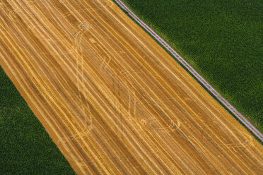 Germany, Bavaria, field with tractor tracks, aerial view, - PEDF000093