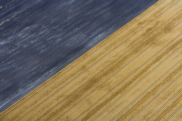 Germany, Bavaria, fields, aerial view - PEDF000107