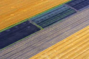 Germany, Bavaria, View of fields, aerial view - PEDF000109