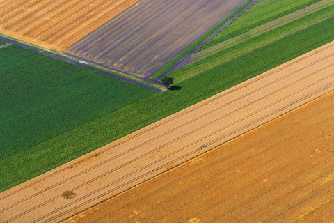 Germany, Bavaria, View of fields, aerial view stock photo