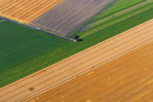 Germany, Bavaria, View of fields, aerial view - PEDF000111