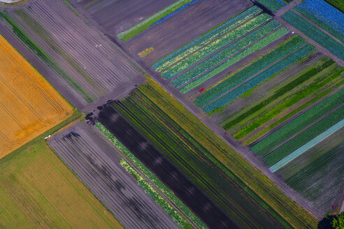 Germany, Bavaria, View of fields, aerial view - PEDF000116