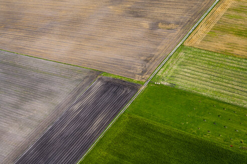 Germany, Bavaria, View of fields, aerial view - PEDF000126