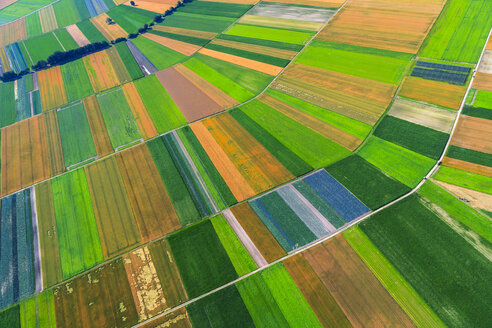 Germany, Bavaria, View of fields, aerial view - PEDF000149