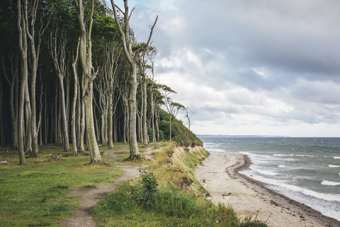 Deutschland, Nienhagen, Blick auf Gespensterwald und Strandpromenade, lizenzfreies Stockfoto