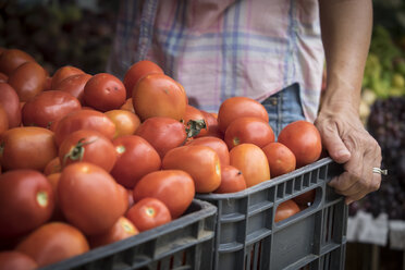 Mexiko, Nayarit, Bucerias, Frau mit Kiste voller Tomaten auf dem örtlichen Markt für landwirtschaftliche Erzeugnisse - ABAF001861