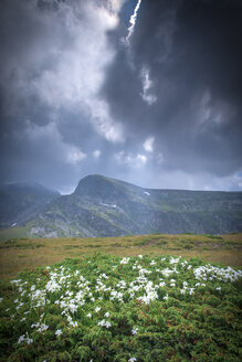 Bulgarien, Rila-Gebirge, Landschaft - DEGF000487