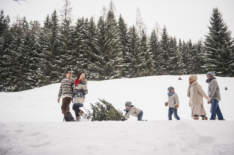 Österreich, Altenmarkt-Zauchensee, zwei Paare und zwei Kinder transportieren Christbaum durch Winterwald, lizenzfreies Stockfoto