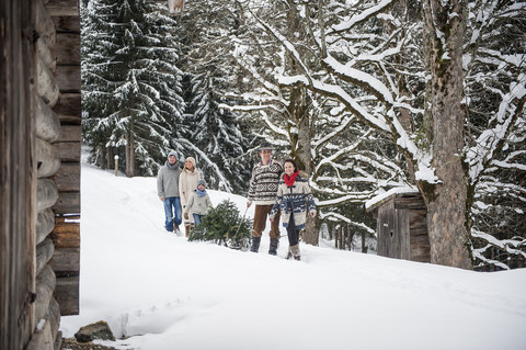 Österreich, Altenmarkt-Zauchensee, zwei Paare und zwei Kinder transportieren Christbaum durch Winterwald, lizenzfreies Stockfoto