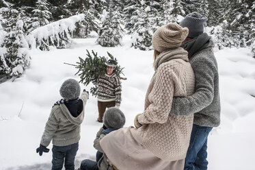 Austria, Altenmarkt-Zauchensee, man with Christmas tree and family together in winter forest - HHF005382