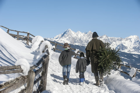 Österreich, Altenmarkt-Zauchensee, Vater mit zwei Söhnen trägt Christbaum in Winterlandschaft, lizenzfreies Stockfoto