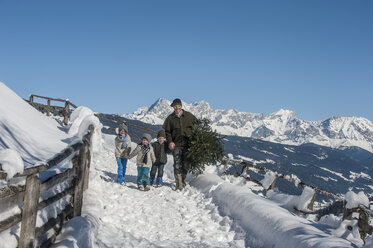 Österreich, Altenmarkt-Zauchensee, Vater mit Kindern trägt Christbaum in Winterlandschaft - HHF005387