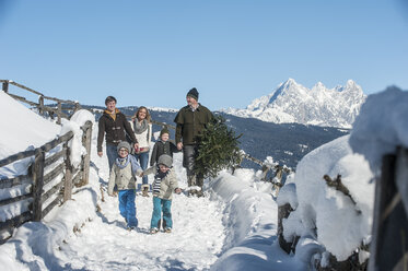 Austria, Altenmarkt-Zauchensee, man with family carrying Christmas tree in winter landscape - HHF005390