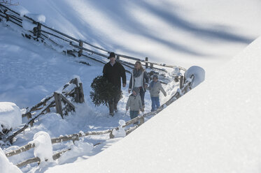 Austria, Altenmarkt-Zauchensee, man with family carrying Christmas tree in winter landscape - HHF005391