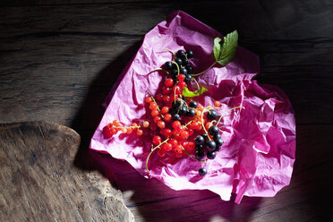 Red and black currants on pink paper - CSF026086