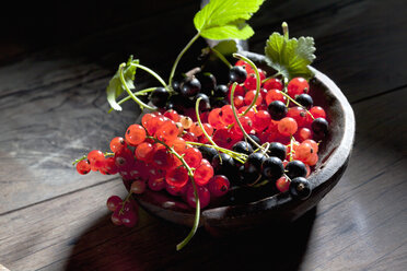 Bowl of red and black currants - CSF026087