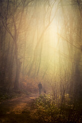 Spaziergängerin mit Hund im Wald am Morgen, digital manipuliert - DWIF000555