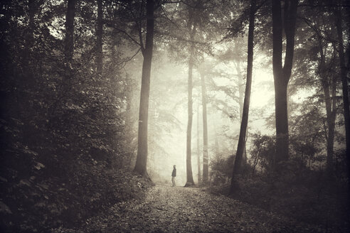 Mann auf einem Waldweg am Morgen, digital manipuliert - DWI000557
