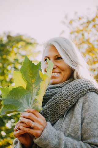 Lächelnde Frau mit grauem Haar und grauem Schal, die ein Herbstblatt hält, lizenzfreies Stockfoto