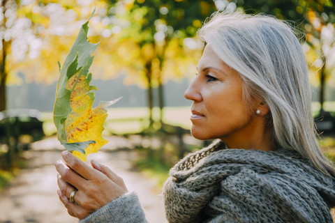 Frau mit grauem Haar und grauem Schal hält Herbstblatt, lizenzfreies Stockfoto