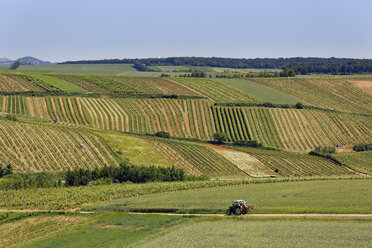 Austria, Lower Austria, Weinviertel, Falkenstein, vineyards, tractor on rural road - SIEF006701