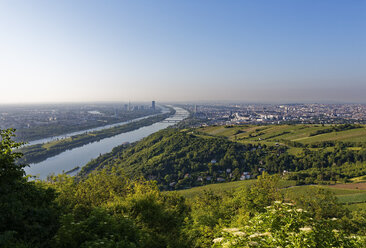 Österreich, Blick auf Wien und die Donau - SIEF006716