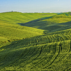 Italien, Toskana, Val d'Orcia, Blick auf hügelige Landschaft - LOMF000035