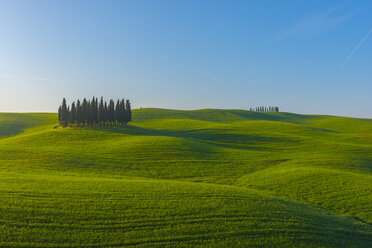 Italien, Toskana, Val d'Orcia, Blick auf hügelige Landschaft mit Zypressen - LOMF000033