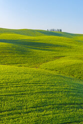 Italy, Tuscany, Val d'Orcia, view to rolling landscape - LOMF000032