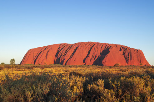 Australien, Northern Territory, Yulara, Uluru, Ayers Rock im Abendlicht - PUF000418
