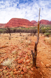 Australien, Nordterritorium, Yulara, Uluru-Kata Tjuta-Nationalpark, Kata Tjuta - PUF000422